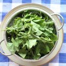 태경농장 이미지