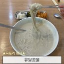 노랑양판 | 목포역 맛집 유달콩물 검정콩국수 노랑콩국수 둘 다 먹어본 후기 + 콩물 보관방법