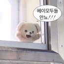 CU송도에이스점 | 대학교 마지막 하계실습🥺