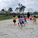 백두대간 유아숲체험원 이미지