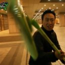 더자주스테이 | 온스테이 곰팡이제거제(+벽지 곰팡이 제거제 솔직후기)