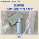 오후만되면 떡지고 냄새나는 두피엔 원오세븐 스칼프 쿨링 샴푸