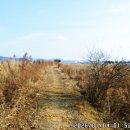 대부해솔길 2코스 이미지