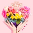화요일 Daum카페
