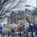 버블맨24익산