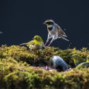 옷목욕탕 이미지