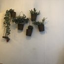 종로사 | [종로 사주 잘보는곳,종로 타로 잘보는곳]인사동사주 팩트&amp;사주 후기