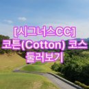 라미블라인드