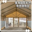 동계캠핑장 추천 포천 트멍 캠핑장 애견동반 후기