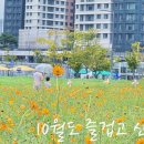 효자 태권도장 이미지