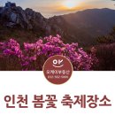 OK랜드공인중개사사무소 이미지