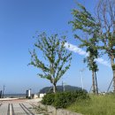광수산수교회어린이집 | 5개월 백수의 daily,,⭐️ (소근육주의_아 내 거아니고 여러분 거)