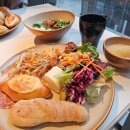 메트로프라자 | 하버 플라자 메트로 폴리탄 / 26겨울