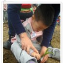 상일농장 Daum카페