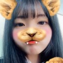띠아머리