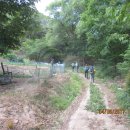 표교초교 이미지