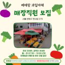 베테랑청과