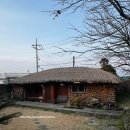 올곧제주 이미지