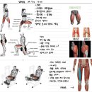 미녀와 야수GYM | 용화동헬스 미녀와야수짐 샐러드식단 도연트레이너 PT 후기