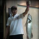 Sea Bass Shore Jigging 울산 나사리 포인트에서.. 이미지