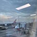 대민렌터카 | 제주도 5박 6일 여행🍊