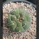 12. 엑플에서 즐겨보는 진실 공방