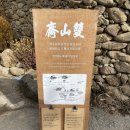 윤스테이 | [내일로, 구례] 조선시대 선비의 고택 정원에서 차한잔 할수있는 곳::쌍산재