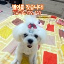 메디팜성화약국 이미지