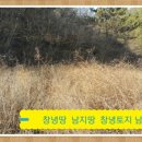 [창녕부동산] 2차도로접 계획관리 창녕전원주택지 약300평 [창녕촌집] 창녕땅 남지땅 이미지