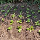 청강유치원 이미지