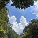 이장백돈가스/치킨이즈백 | [순기] 잔말말고 파워냉방으로 틀어