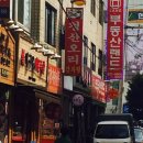 청산오리 이미지