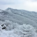 일번지세탁소 이미지