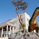 안면도쥬라기공원 이미지