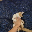 족발박사 보쌈도사 이미지