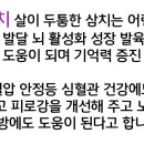 태흥수산