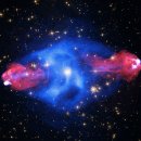 시그너스(Cygnus) 이미지