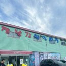 칠산로 | 김해 장난감가게 ‘휴먼토이즈’ 방문후기
