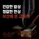 부산에뜬고등어 이미지