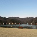 지관서가 커피마시고 산책하고 부모님과 함께 대복복집 찾아가면 딱 북구 부모님과 데이트 코스가 좋아요
