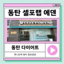 [동탄다이어트] 누워서 체지방 쉽게 빼는 셀포랩에덴 대만족 후기!