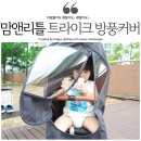 로이스어린이집 이미지