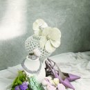 감각적인 웨딩 액세서리 앙상블 이미지