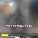 울지마 바보양