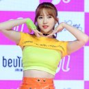 로하 이미지