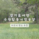텃밭 | 경기도 여행 수원 | 수원탑동시민농장 청보리 스팟 피크닉하기 좋은 곳 찐솔직후기