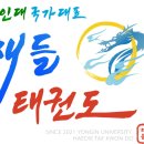 용인대 국가대표 해들 태권도 | 세종시 대평동 용인대 국가대표 해들 태권도