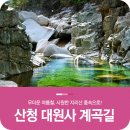 대원사계곡 산행 취소 이미지