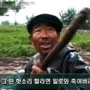 비1238 이미지