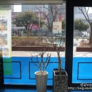 수니헤어샵 - 여수시 | 수니헤어샵